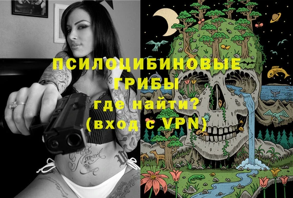 прущие крисы Михайловск